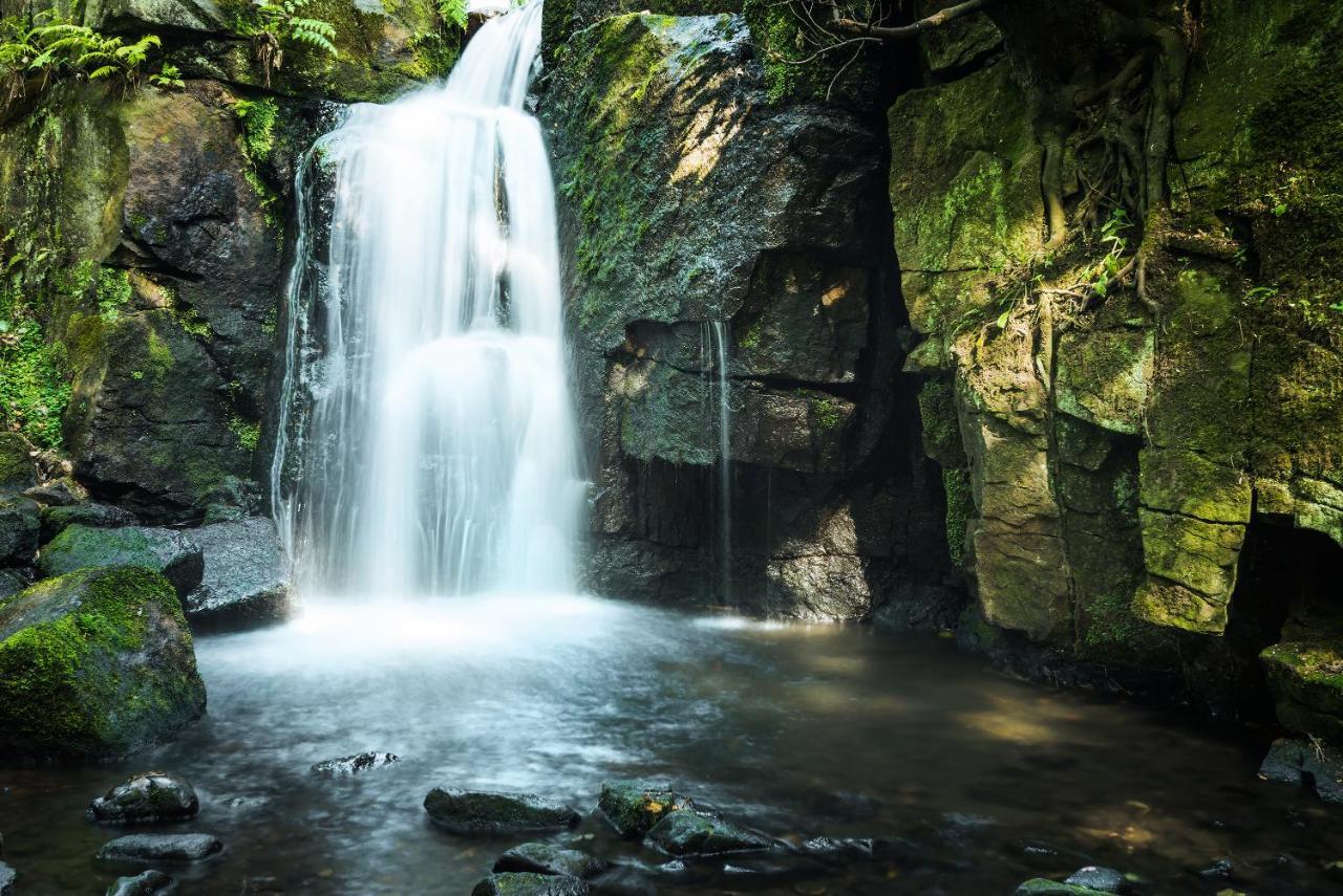 Harewood Cottage Peak District لييك المظهر الخارجي الصورة